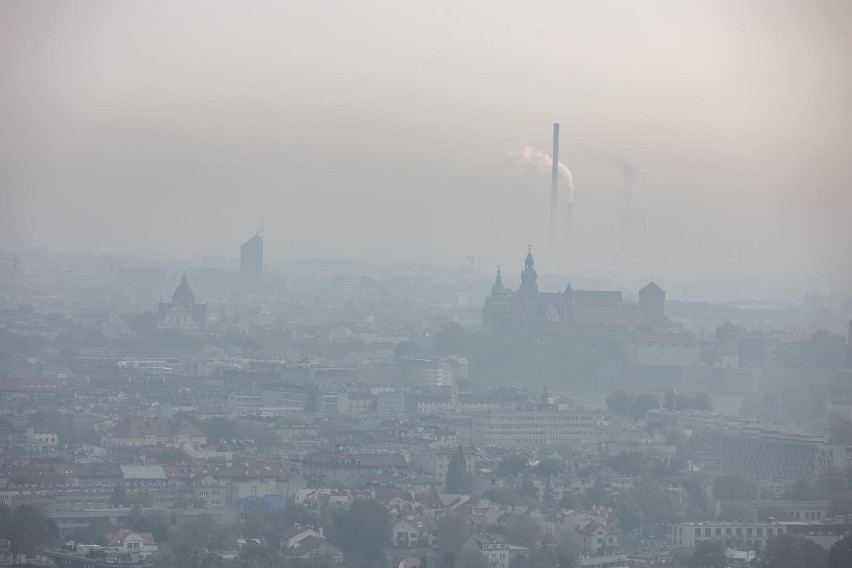 Kraków. Smog natychmiast pogarsza koncentrację dzieci. Alarmujące wyniki badań UJ. Główni truciciele powietrza to stare diesle