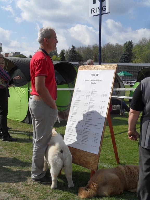 55. Krajowa Wystawa Psów Rasowych na "Skałce"