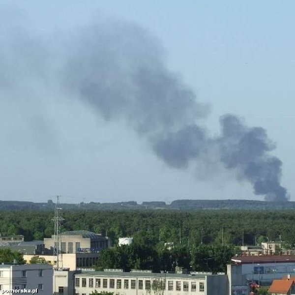 Fotografia nadesłana przez Czytelniczkę