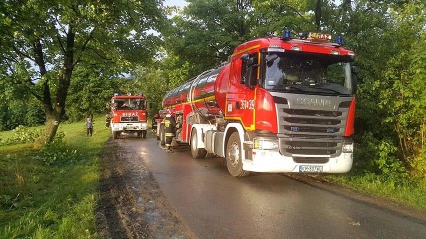 Falkowa. Potężny pożar stodoły od uderzenia pioruna. Zginęło 6 sztuk bydła i pies [ZDJĘCIA]