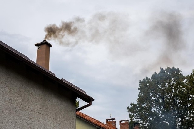 W Szczecinie 30,6 proc. domów i mieszkań ogrzewanych jest węglem.