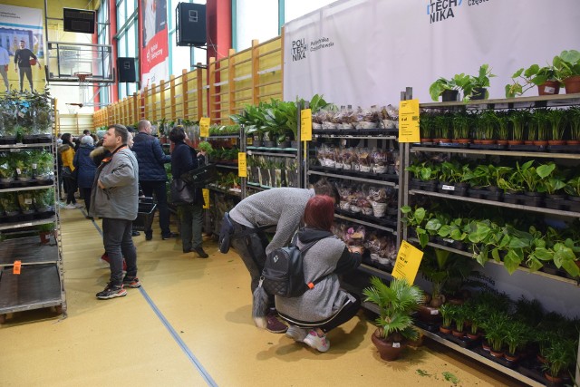 Festiwal Roślin Doniczkowych w Klubie Politechnik w Częstochowie