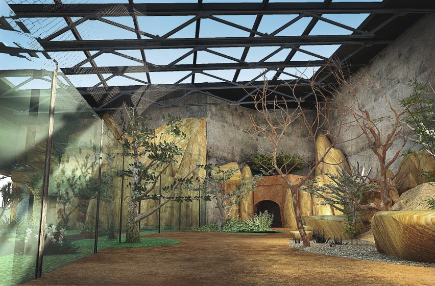 Kto zaprojektuje raj dla afrykańskich ptaków? Zoo w Gdańsku otwiera przetarg na przebudowę pawilonu