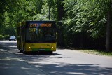 Hajnówka przywraca weekendowe połączenia autobusów miejskich