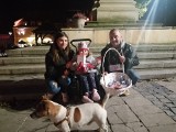 W Sandomierzu zbierali pieniądze na leczenie 5-letniej Zosi Słapek z Ożarowa. Wolontariusze kwestowali z koszami w obrębie Starego Miasta