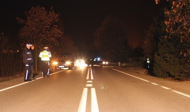 Wypadek w Jastrzębiu-Zdroju. Sprawca zabił dziewczynę i...