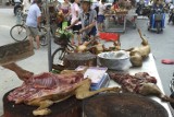 W Lublinie też wyrażą sprzeciw wobec bestialskiego mordowania zwierząt w Chinach 