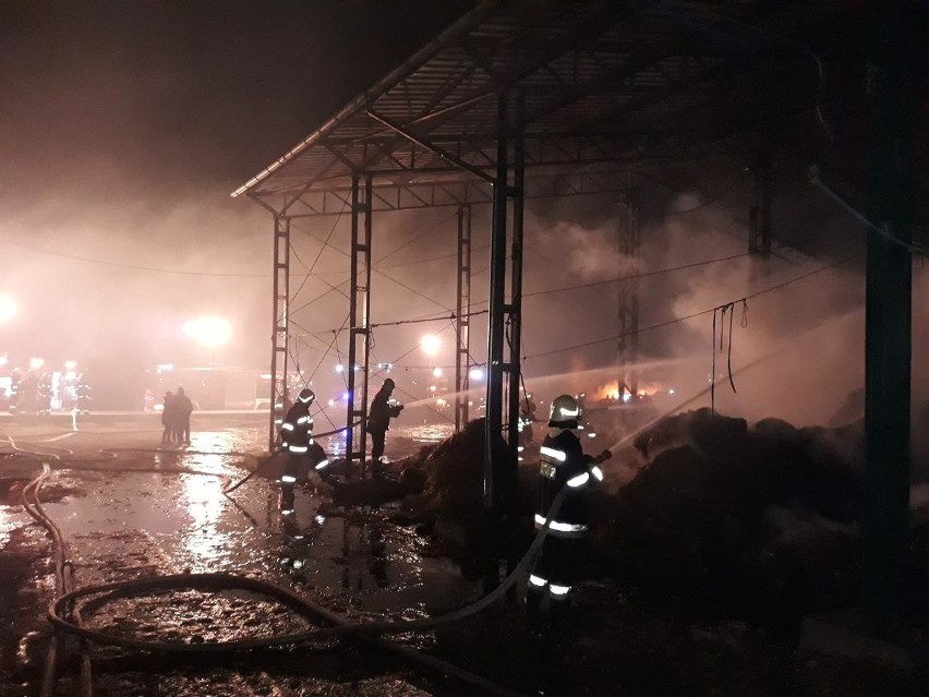 Blisko 100 strażaków przez ponad 15 godzin walczyło z ogniem