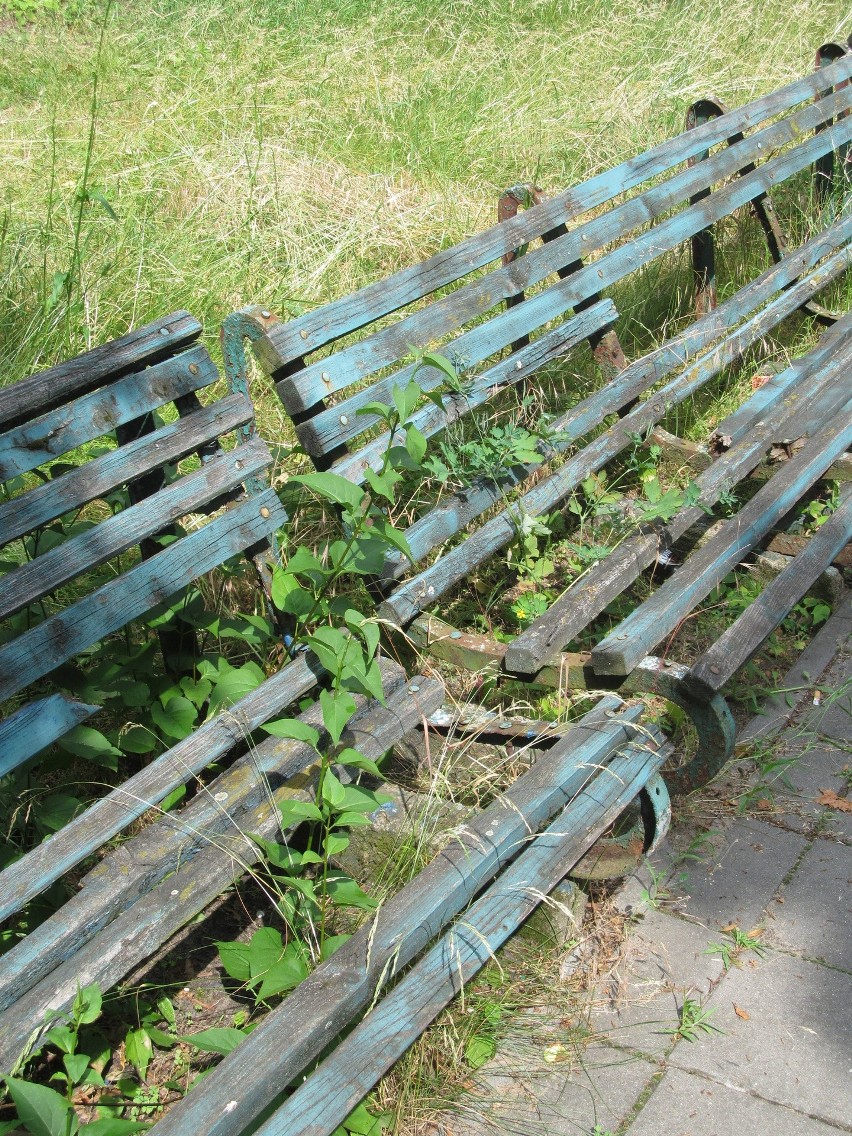 Przy okazji tego przeglądu - mała ciekawostka. Skontaktował...