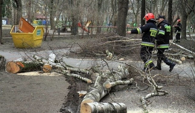 Strażacy w Kujawsko-Pomorskiem od sobotniego popołudnia interweniowali ponad pół tysiąca razy w związku ze skutkami wichur