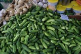 Sezon na ogórki trwa w najlepsze. Sprawdziliśmy ceny na lokalnym bazarze. Ile kosztuje kilogram ogórków? ZDJĘCIA