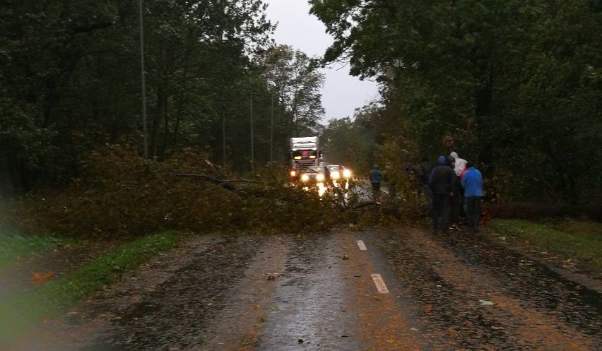 Szczecin i region: jedna ofiara śmiertelna nocnej wichury