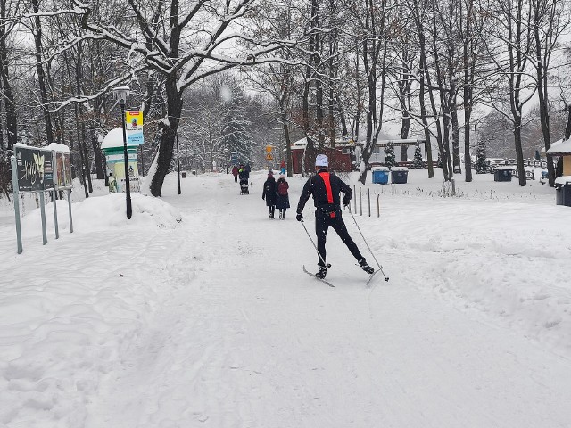 Park Śląski w Chorzowie również zimą jest bardzo atrakcyjnym miejscem do spędzenia wolnego czasu.