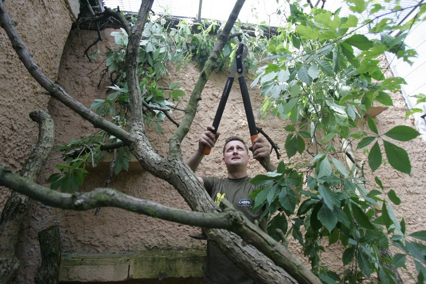 Śląski Ogród Zoologiczny od kuchni