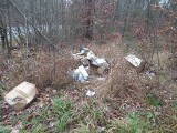Straż Miejska w Kielcach znalazła człowieka, który wyrzucał śmieci do lasu 