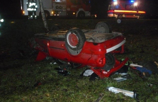 W miejscowości Białobrzegi na drogę wyszło stado dzików. Cztery padły po zderzeniu z autami.