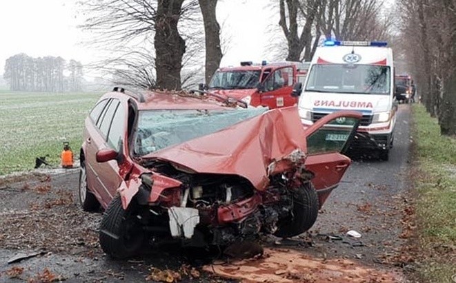 Do zdarzenia doszło w sobotę, 15 grudnia, na trasie w Kijach...