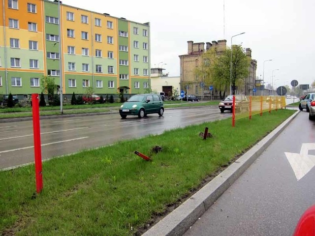 Na pasie zieleni widać jeszcze ślady po samochodzie