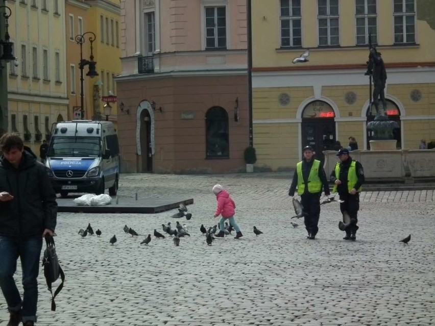 Stary Rynek: Teraz łączone patrole, a w przyszłości...