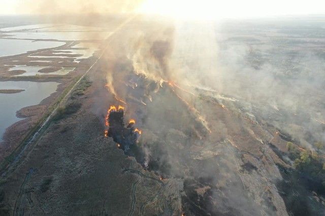 Na skraju woj. dolnośląskiego i lubuskiego doszło do ogromnego pożaru trawy i trzcinyFrancja - Paryż. Pożar Katedry Notre Dame. WIDEO: