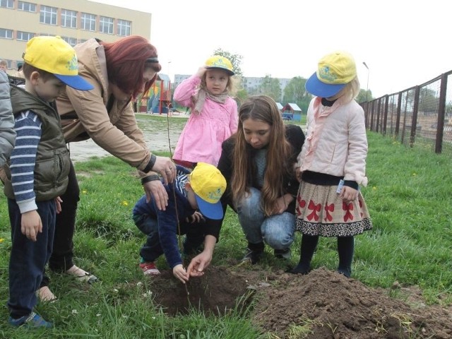 W ósmej edycji akcji nasadzeń, kolejny już raz wzięły udział dzieci z przedszkola Niezapominajka w Radomiu.