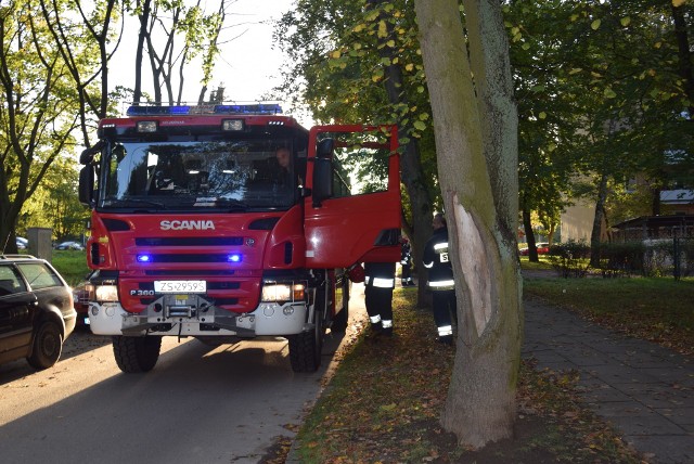 Uporanie się z niegroźnym pożarem trwało kilka minut.