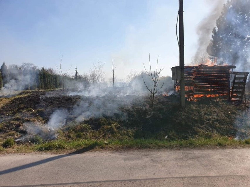 Pożar traw w Przybysławicach. Było groźnie, spłonęła drewniana szopa i uszkodzony został słup energetyczny