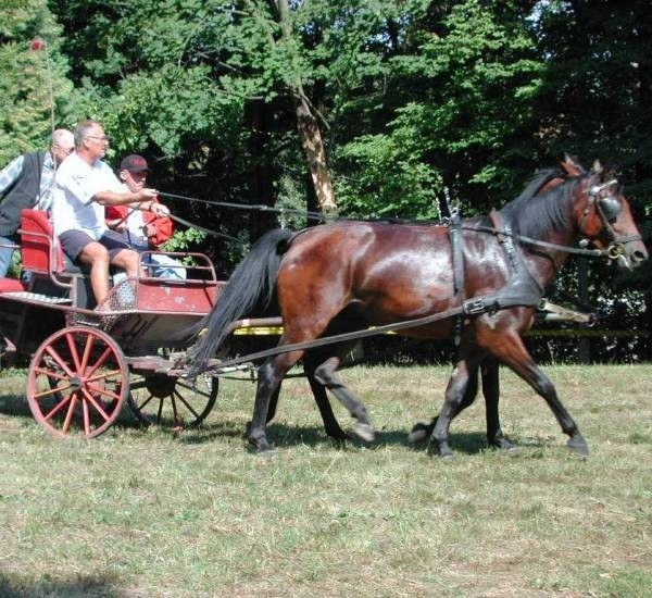 Sielankowy nastrój Zakrzowa lubi m.in. stały gość tutejszych mistrzostw gwiazd, Karol Strasburger.