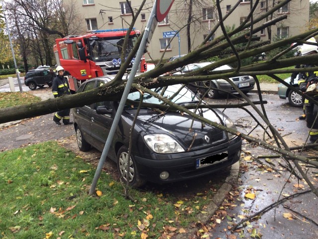 Skutki Orkanu Grzegorz w Katowicach, które usuwali strażacy ochotnicy z OSP Dąbrówka Mała. 