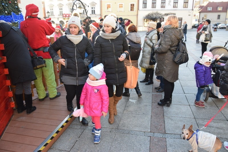  Święty Mikołaj i renifery robią furorę na Rynku w Tarnowie. Dzieci są zachwycone