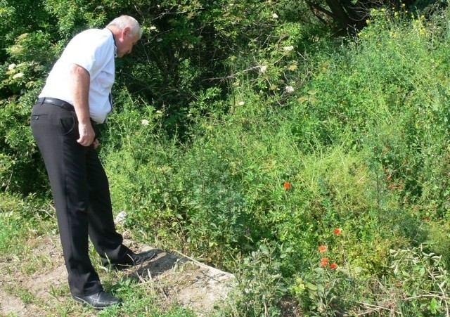 Marek Jońca, burmistrz Koprzywnicy chętnie pokazuje odczyszczone rowy i starorzecza, nie zapominając o zaangażowaniu rolników.
