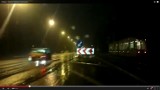 Wypadek w Katowicach: Samochód wjechał w stado dzików [WIDEO + ZDJĘCIA]