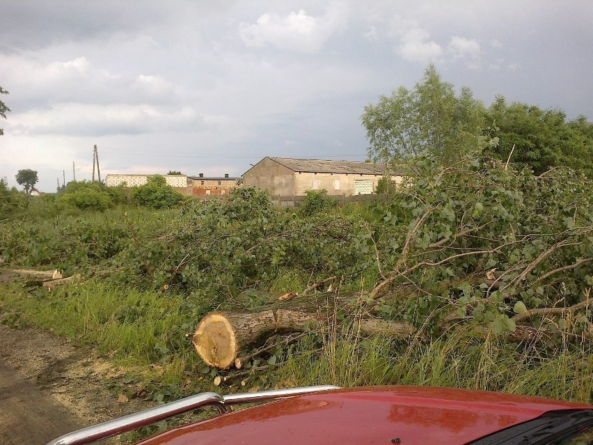 Nawałnica przeszła w poniedziałkowe popołudnie nad powiatem...