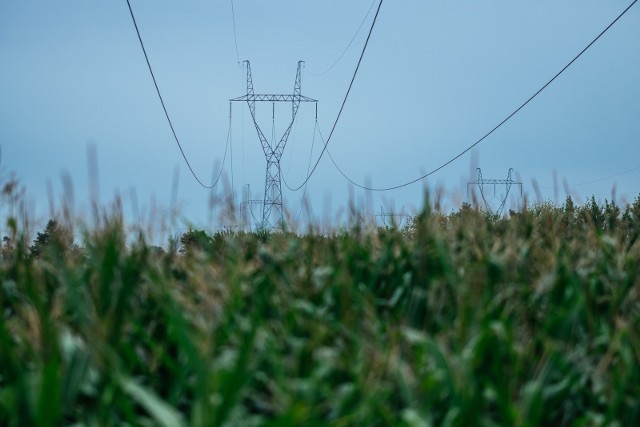 Energetycy w ostatnich tygodniach wykonują demontaż istniejącej linii elektroenergetycznej 220 kV, którą zastąpi budowana obecnie linia 400 kV Piła Krzewina - Plewiska. Inwestycja jest strategiczna dla Wielkopolski i ma znacząco poprawić pewność dostaw energii.