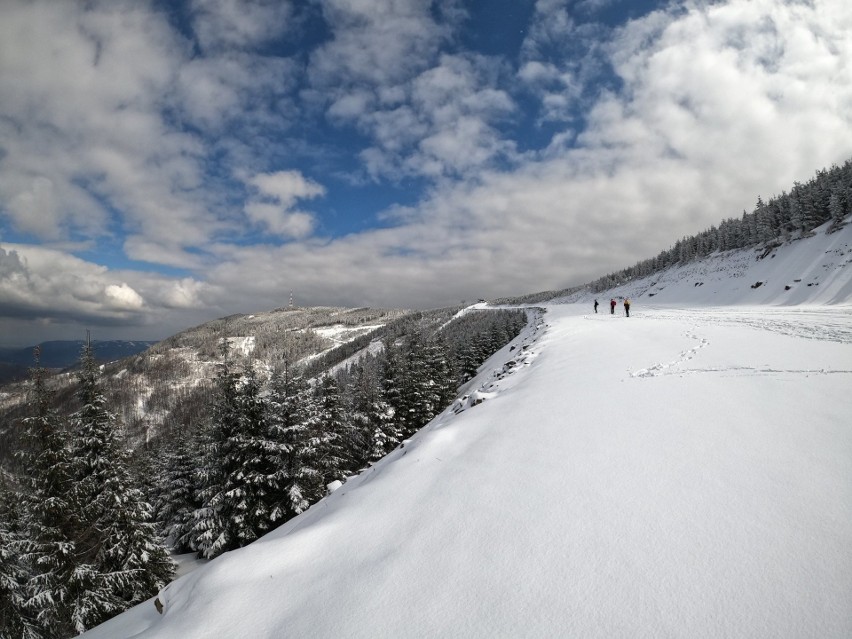 W Szczyrk Mountain Resort podkreślają, że na poziomie 1000 m...