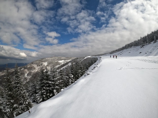 W Szczyrk Mountain Resort podkreślają, że na poziomie 1000 m i wyżej panuje jeszcze piękna zima