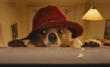 RECENZJA: Paddington 2. Do serca przytul miśka [ZWIASTUN]