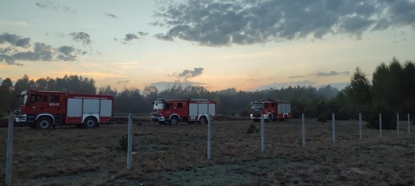 Na pomoc w gaszeniu pożarów ruszyli m.in. strażacy z OSP...