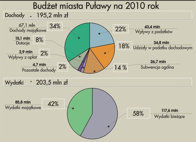 Budżet miasta Puławy na 2010 rok