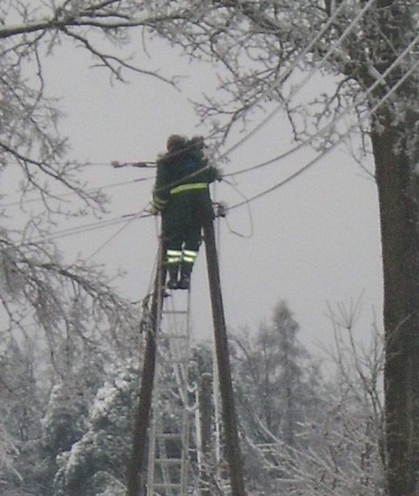 Druty na każdym słupie są pozrywane.