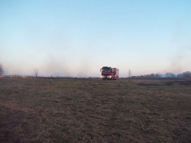 Pożar traw koło Karlina.