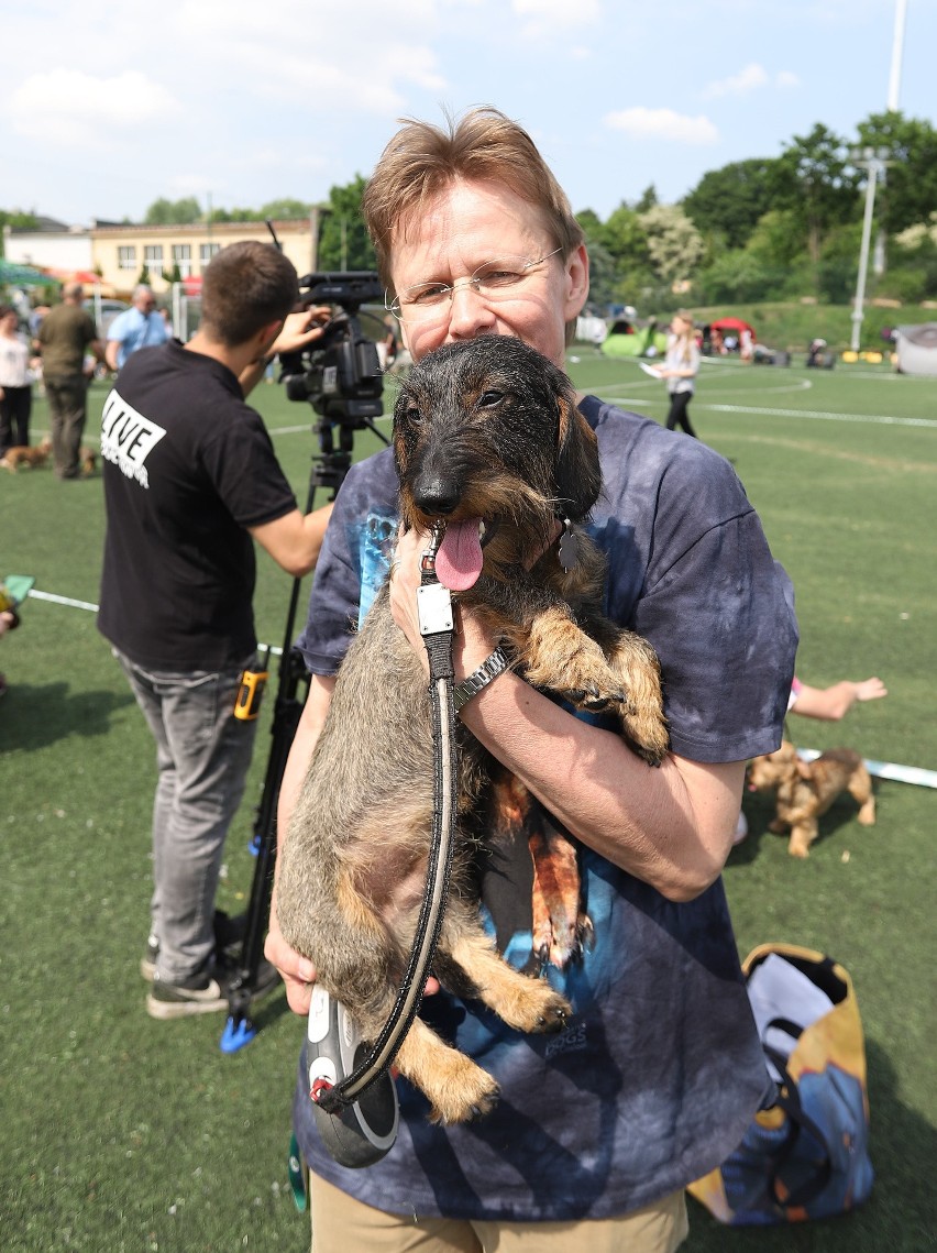 Międzynarodowa Wystawa Psów Rasowych w Łodzi. International Dog Show na ChKS Łódź