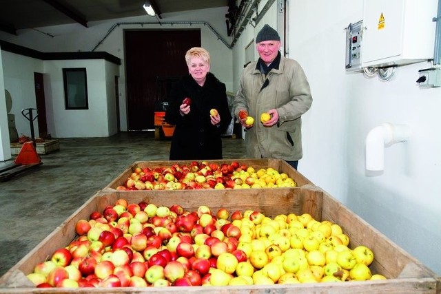 Podlaskie jabłka czekają na eksport
