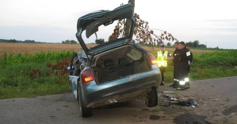 Tragedia! Roztrzaskali się na drzewie! Dlaczego do tego doszło? (zdjęcia)