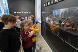 Łabędzie z kolekcji Bartłomieja Wodyńskiego „sfrunęły” do Muzeum Kanału Bydgoskiego [zdjęcia]