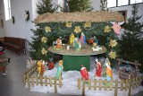Szopki bożonarodzeniowe w Ostrowi Mazowieckiej. Zobaczcie, jak wyglądają żłobki we wszystkich ostrowskich parafiach