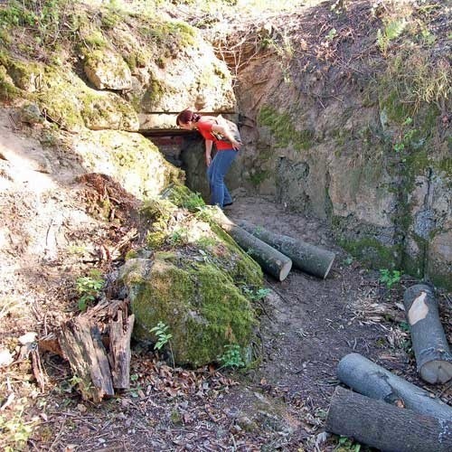 Wzgórze, pod którym ukryto bunkry i korytarze grupy warownej, straciło większość drzew.