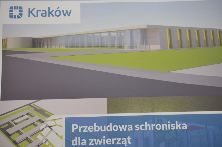 Kraków. W końcu rozpoczął się remont w schronisku dla zwierząt