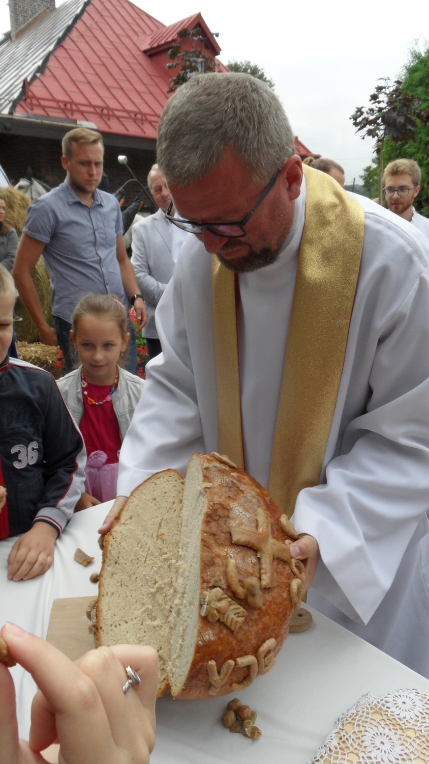 Żniwne, czyli dożynki w Tychach-Wilkowyjach odbyły się...