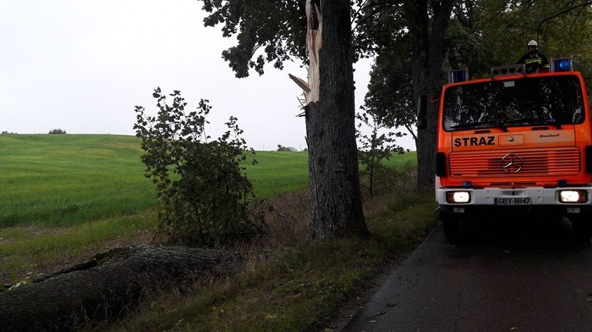 Strażacy z Piaszczyny usuwali z drogi odłamany konar (zdjęcia) 